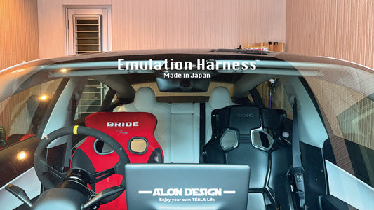 Emulation Harness for Model3/Y